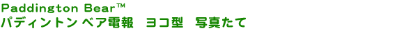 �ѥǥ���ȥ� �٥����󡡥襳�����̿�����