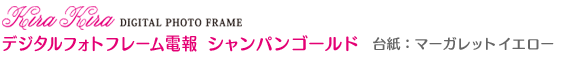 Kira Kira �ǥ�����ե��ȥե졼�����󡡥����ѥ󥴡���ɡ���桧�ޡ�����å� ��������