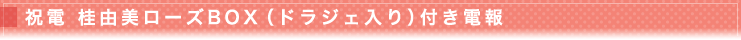 ���� ��ͳ��������BOX�ʥɥ饸��������դ�����