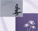 弔電_布貼り電報（銀・黒 箔押し）一覧へ
