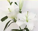 弔電_お悔み・法事一覧へ