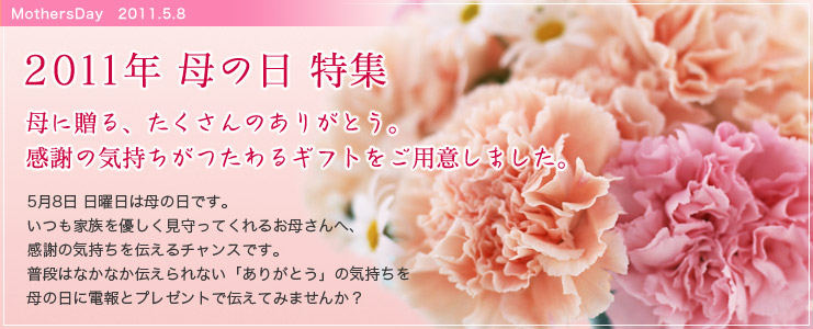 2011年 母の日 特集