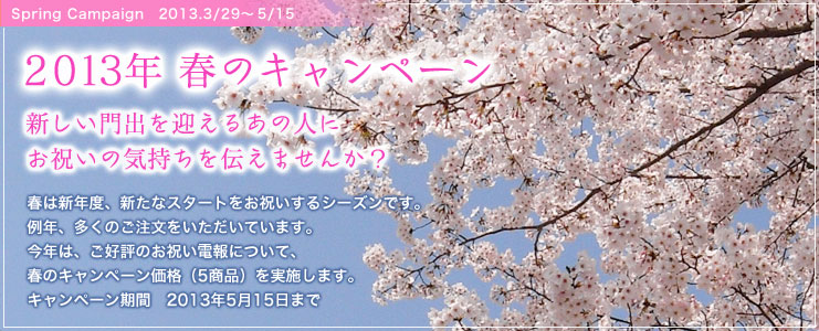 2013年 春のキャンペーン