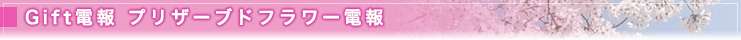 Gift電報 プリザーブドフラワー電報