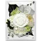 お祝いプリザーブドフラワー電報 クラシックホワイト【プレミアム】