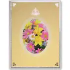 ロイヤルマーガレット　イエロー