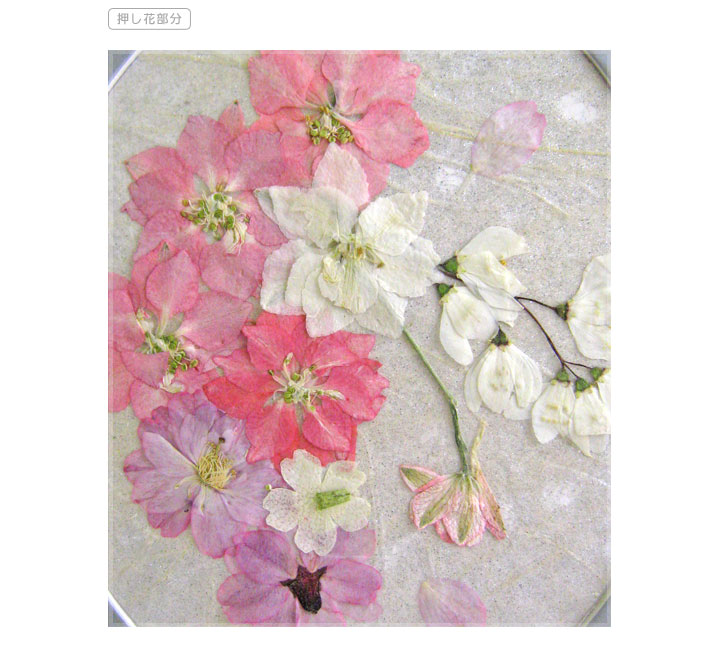 押し花部分